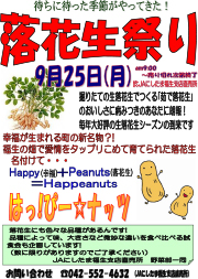NbNPDFJ܂