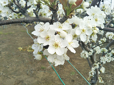 ̉ 